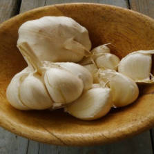 Fresh Garlic Chutney