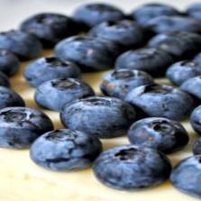 A Culinary Delight: Blueberry Cheesecake