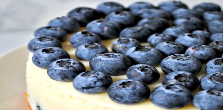 A Culinary Delight: Blueberry Cheesecake