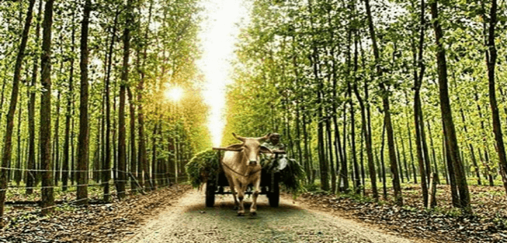 The two faces of India - cities vs. rural areas
