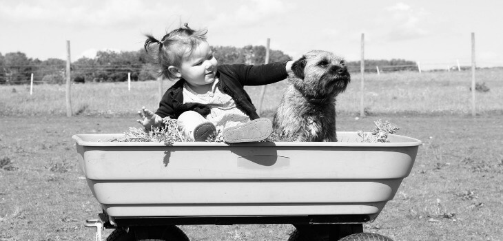 Babies who grow up with pets are smarter!