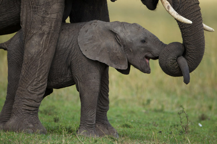 What kind of parent are you?
