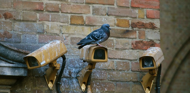 cctv