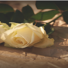 LOVE LETTER