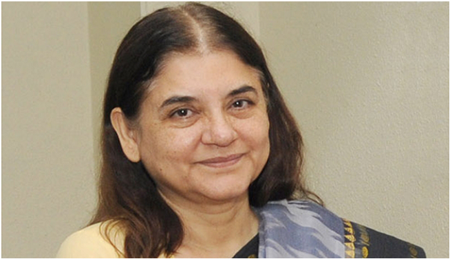 government reconsidering criminalizingManeka gandhi