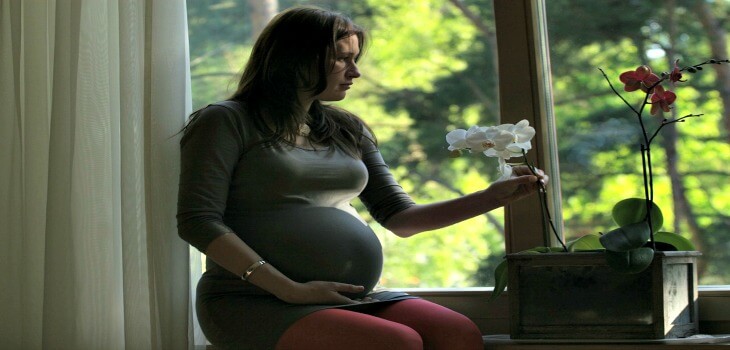 Pregnancy Myths Busted!